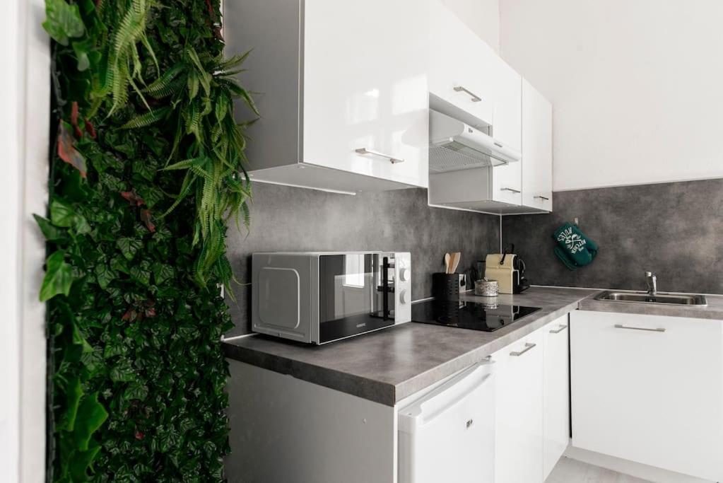 Charmant Studio Arbore Et Climatise Carcassonne Bagian luar foto