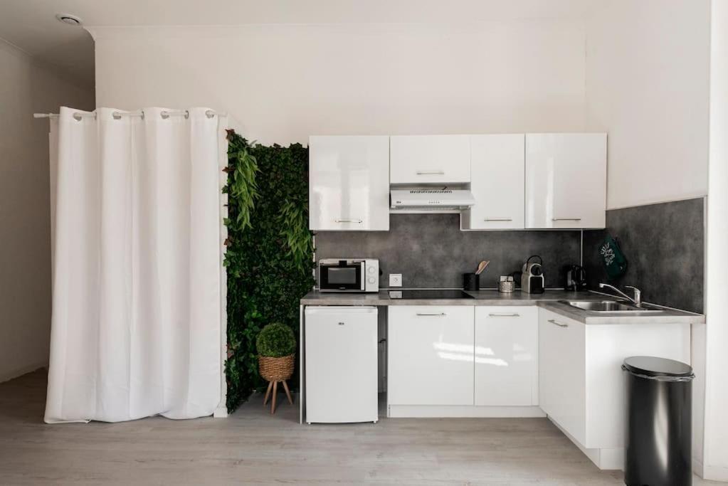 Charmant Studio Arbore Et Climatise Carcassonne Bagian luar foto