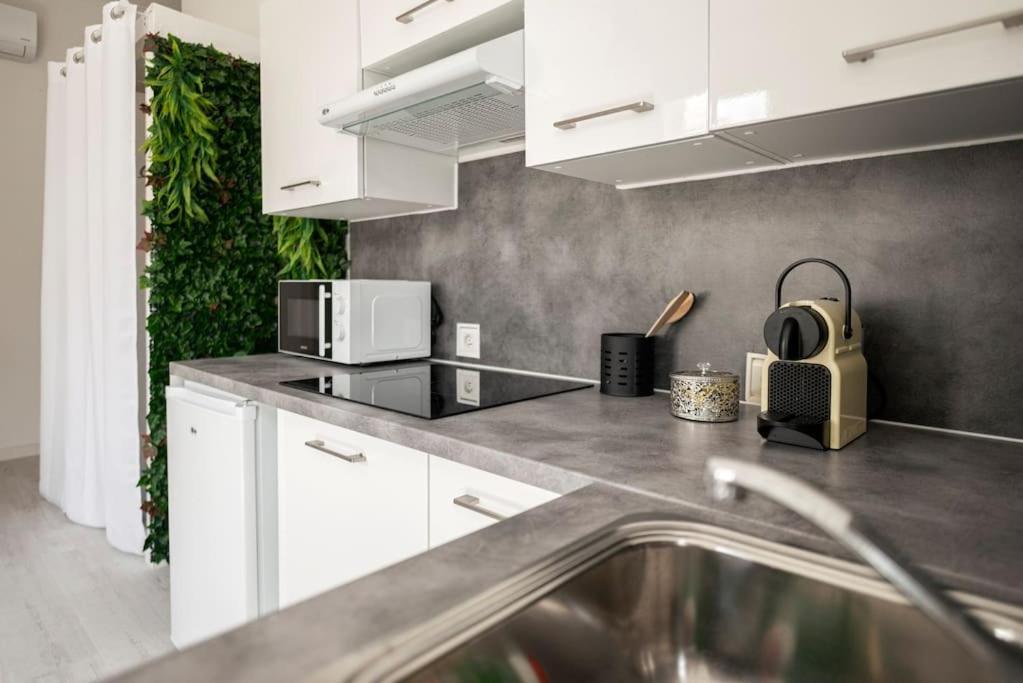Charmant Studio Arbore Et Climatise Carcassonne Bagian luar foto